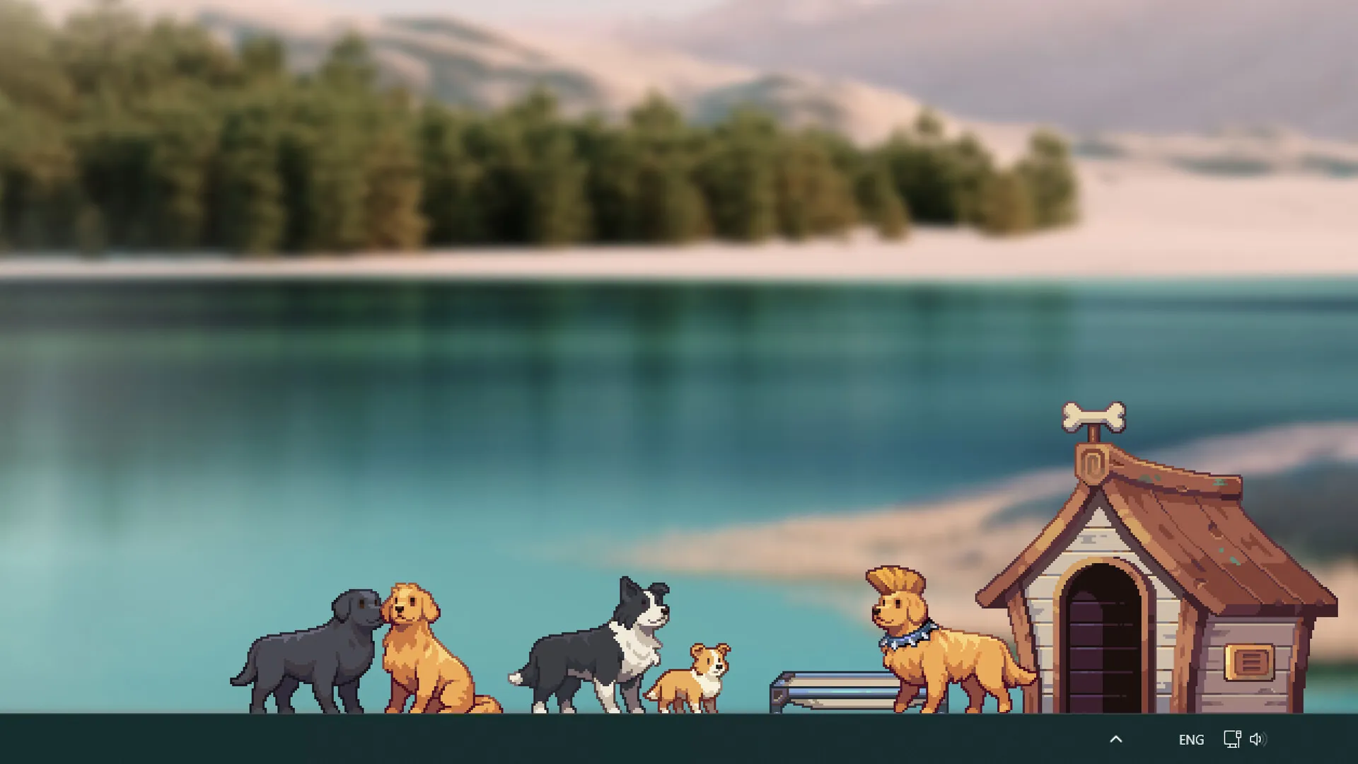 狗/Dog 截图4