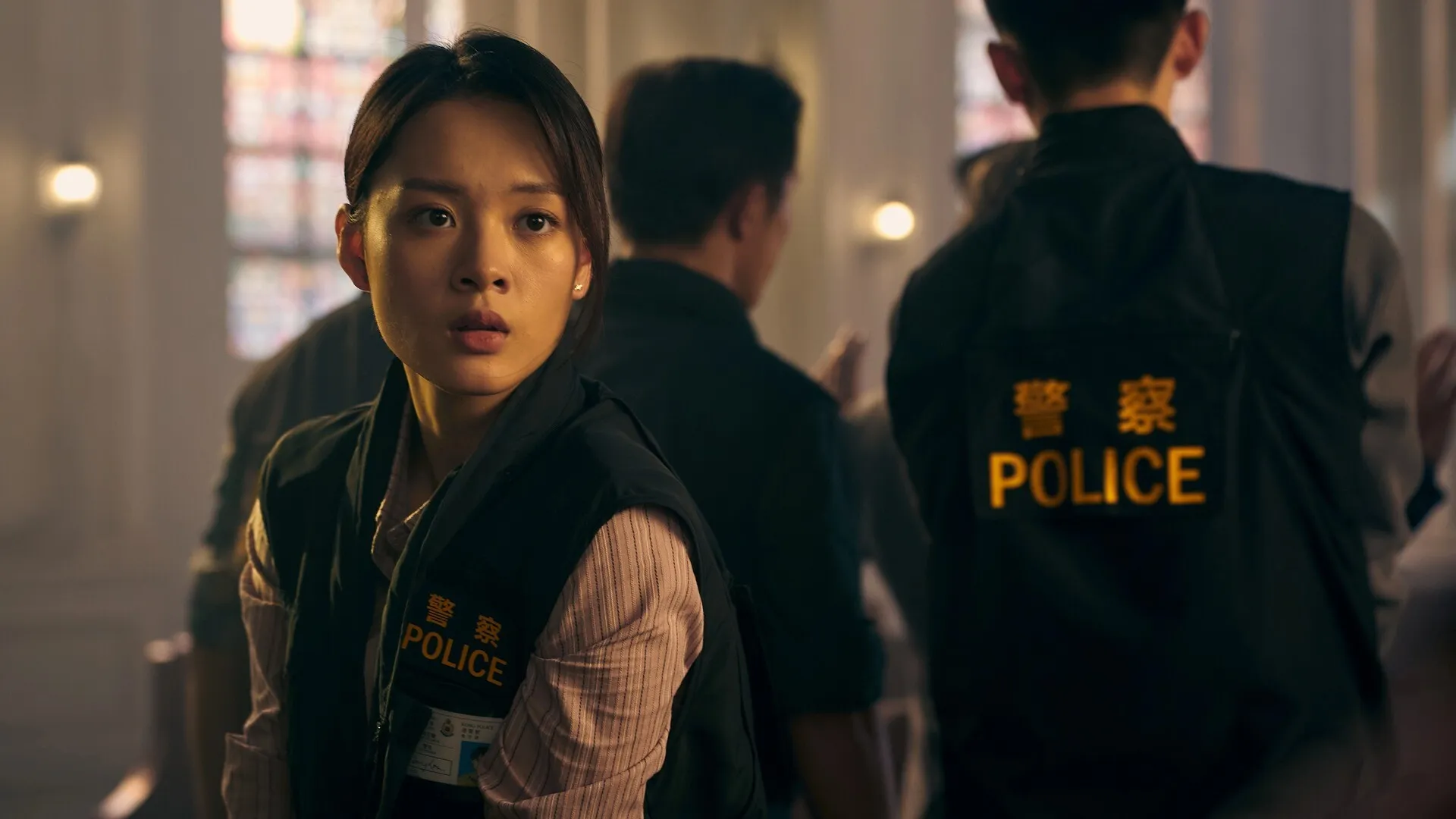 对不起,我是警察/Undercover 截图9