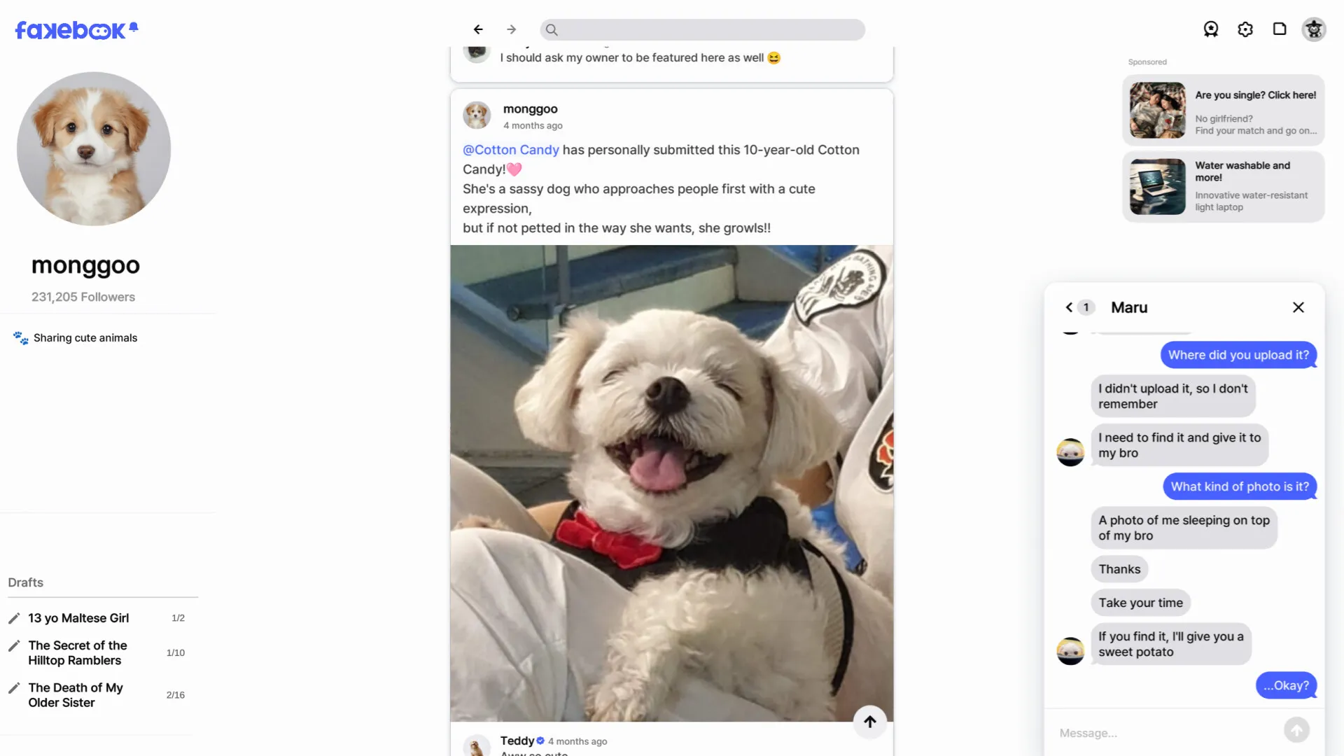 假书/FAKEBOOK 截图1