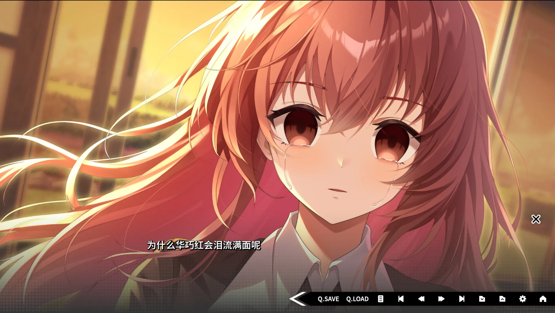 道之华隐/DaoNoKa hide 截图7