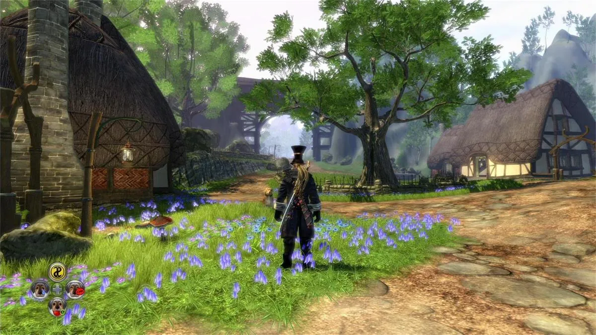神鬼寓言2:年度版/Fable II: Game of the Year Edition 截图1