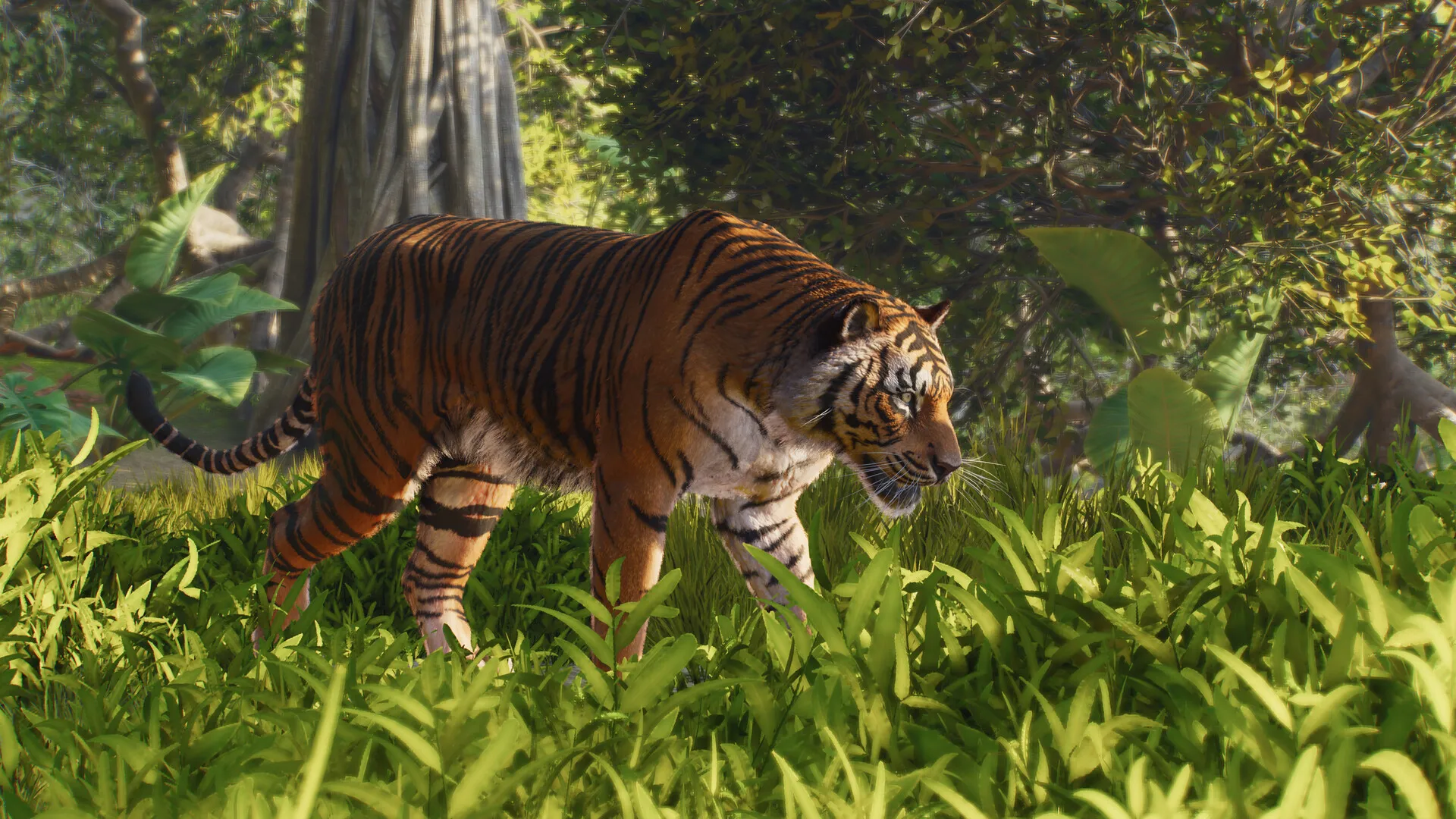 动物园之星2-虚拟机版/Planet Zoo 2 HYPERVISOR 截图6