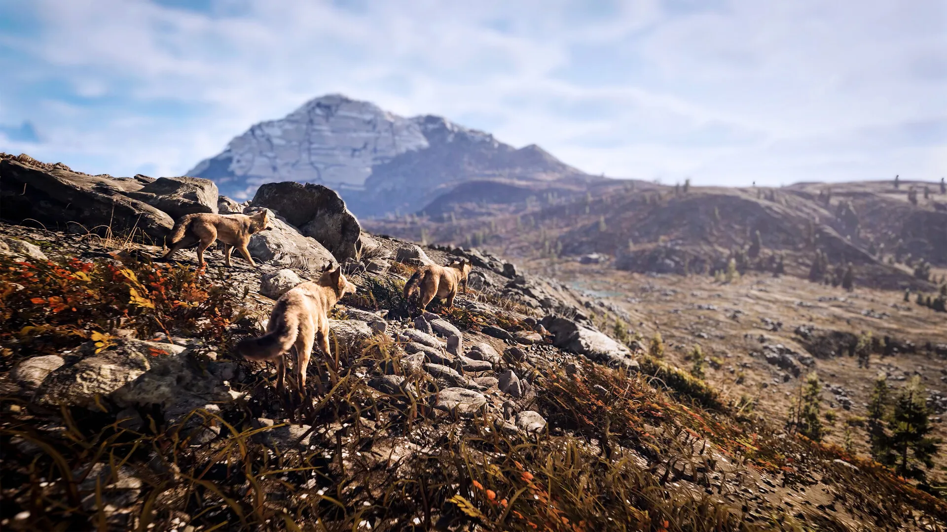 狩猎模拟3/Hunting Simulator 3 截图8