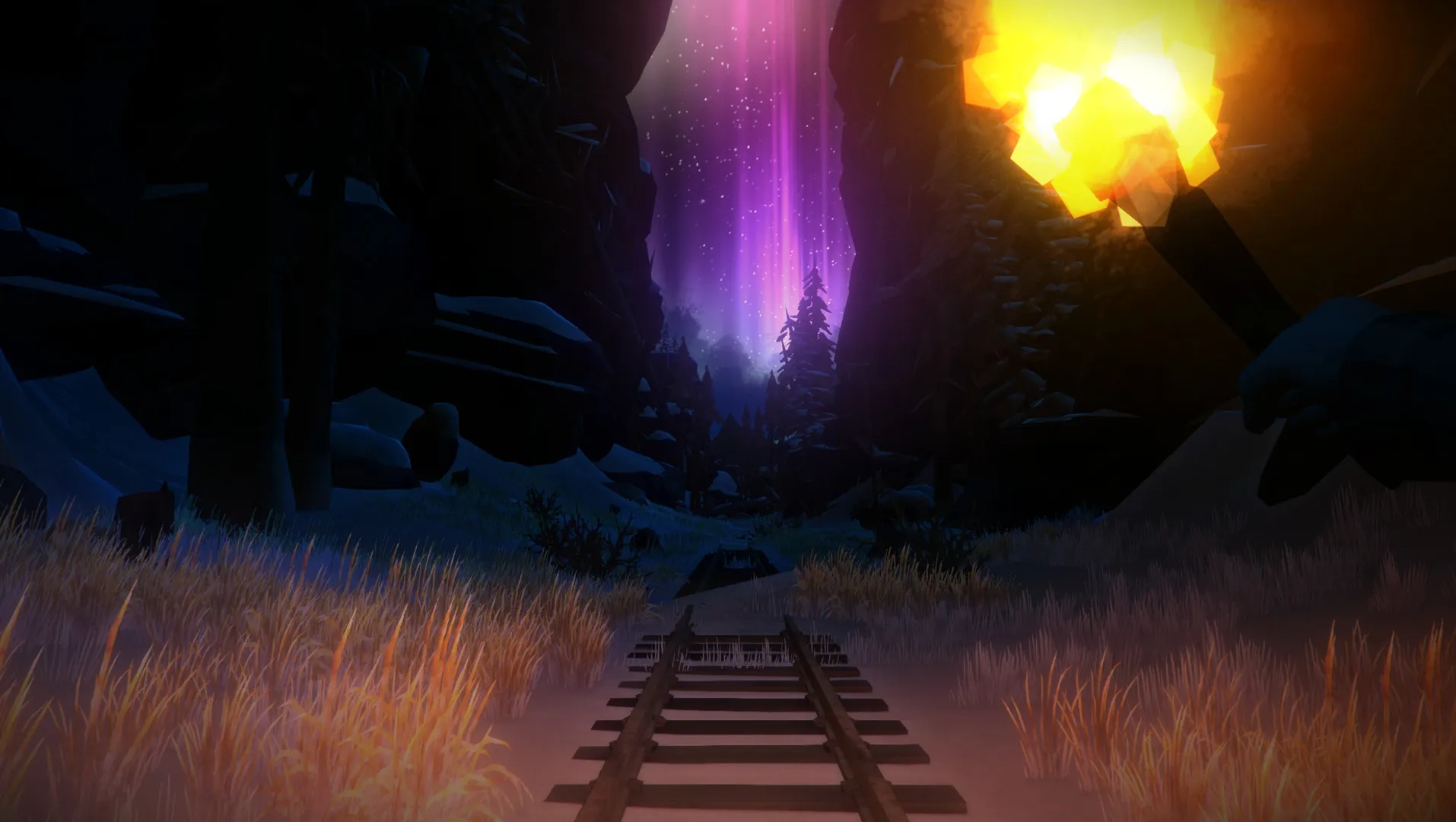 漫漫长夜/The Long Dark 截图7